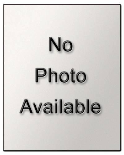 Remote Activated Plug And Play Remote Start For Select 20082014 Ford